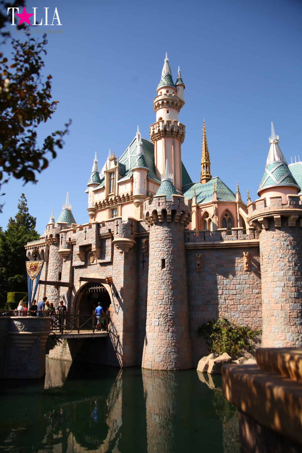 Диснейленд в Калифорнии (Анахайм, Лос Анжелес). Аттракционы